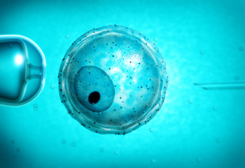 胚胎实验室